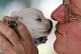 ADULTE ET CHIEN 387